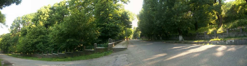 Развилка