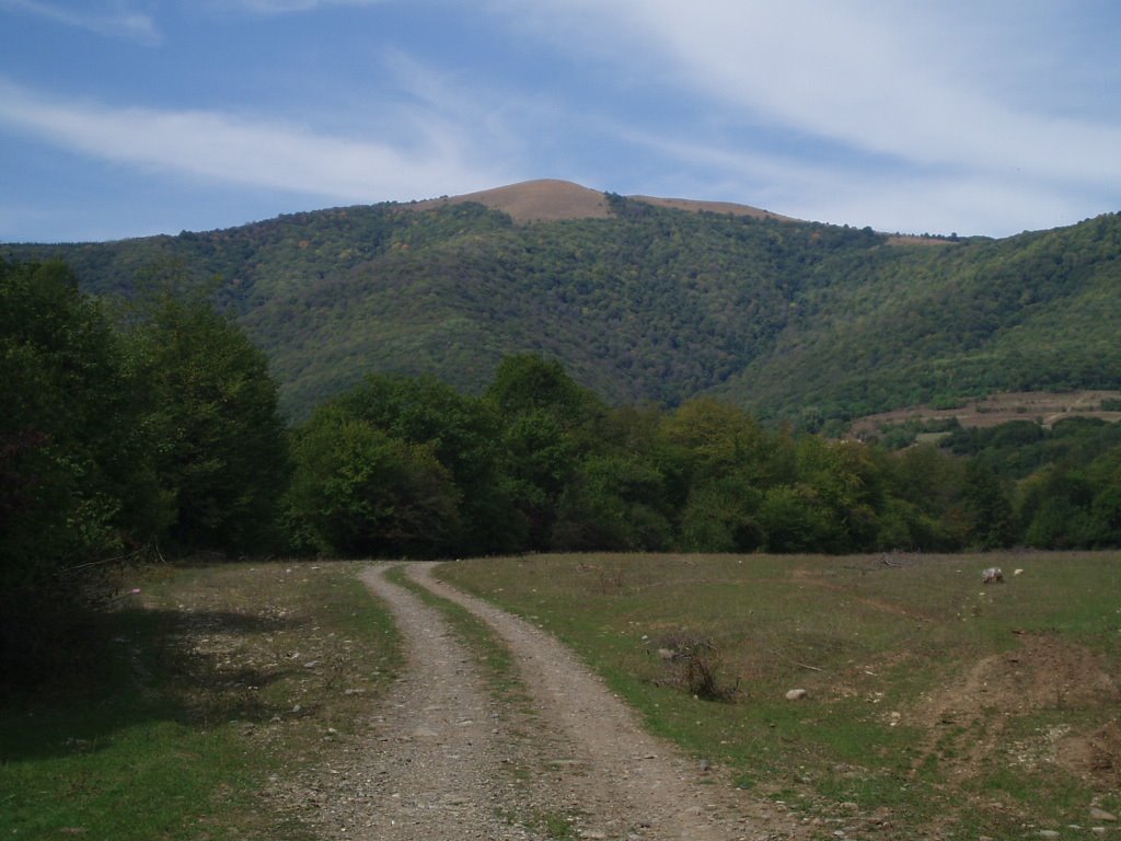 გუზუმბათი