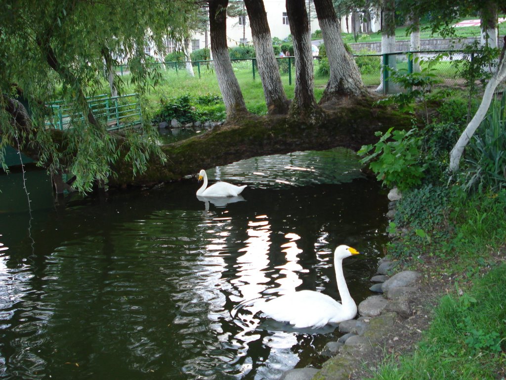 Парк в городе