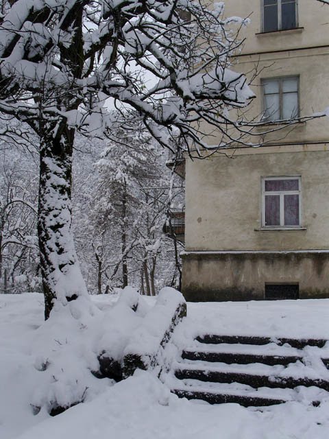 Tkibuli/Winter - Tbilisi Street