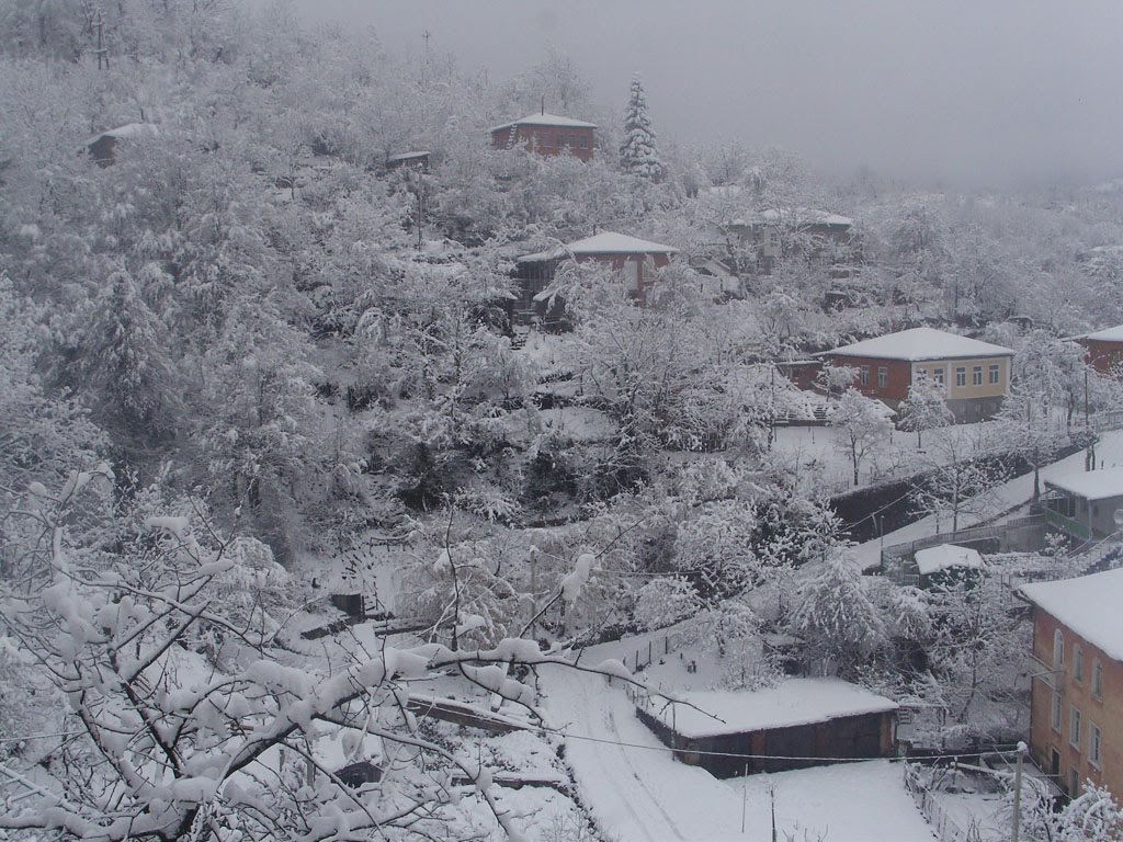 Tkibuli/Winter - Tbilisi Street