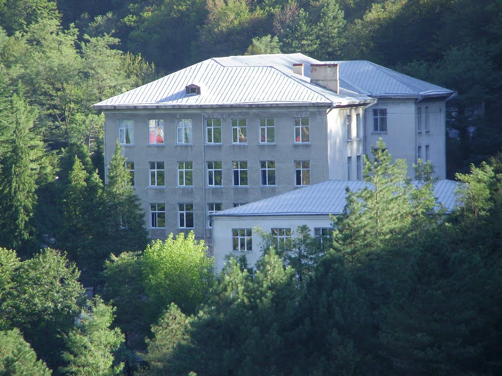 Tkibuli - Public School N6