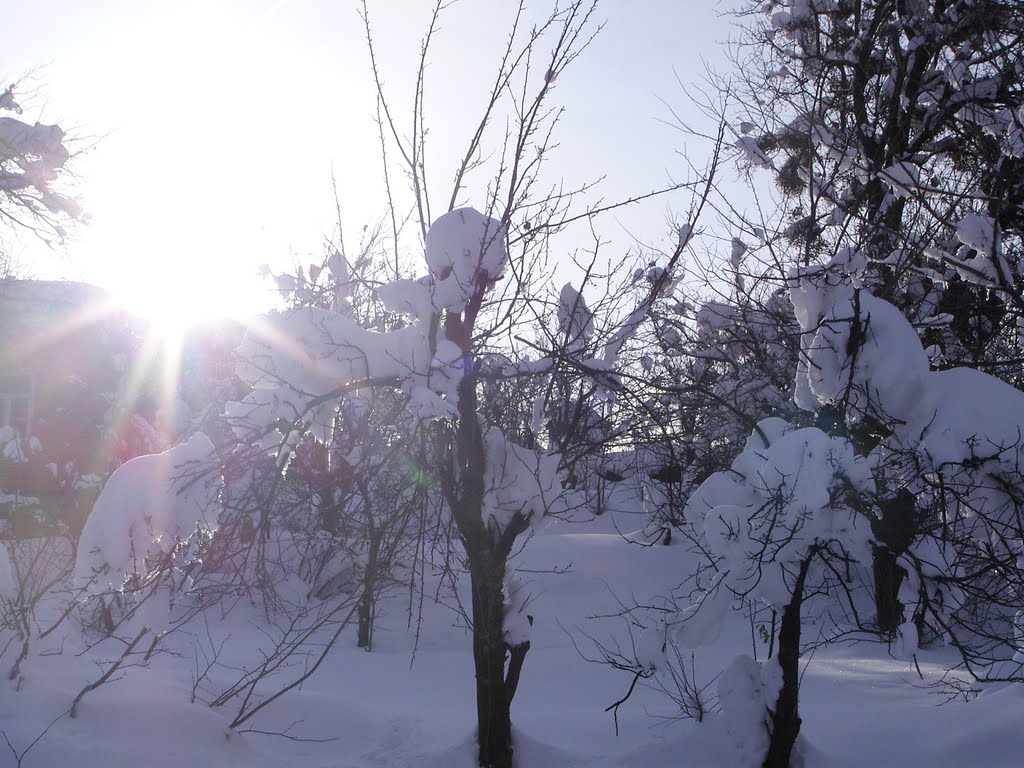 Tkibuli/Winter - Merkviladze Street