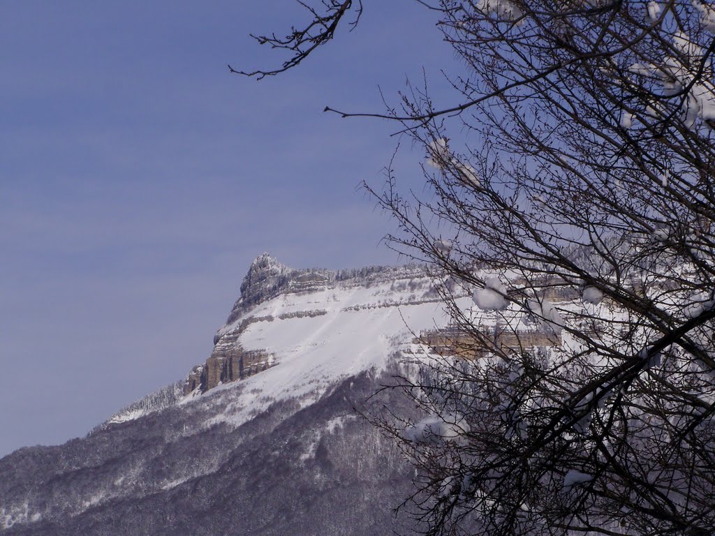 Tkibuli/Winter - View to Mount Tskhrajvari