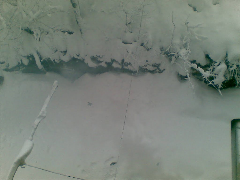 1.5m tovli