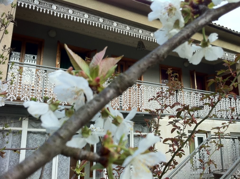 My home in spring