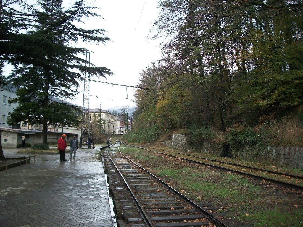 Railway tracks to coal mines and other facilities