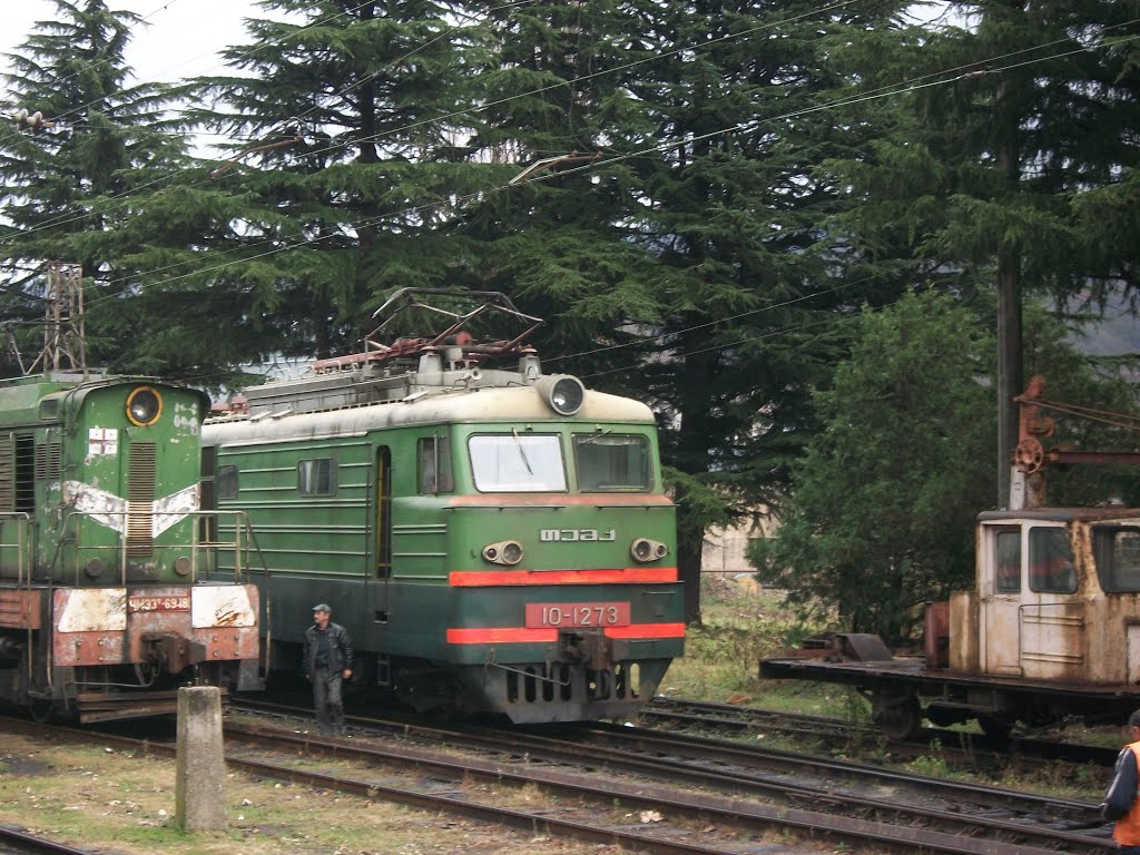 Trains at Tkibuli-I railway station