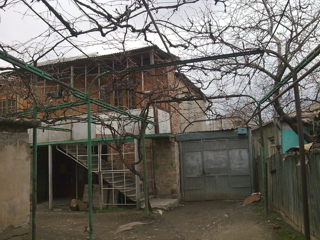 LADOS SAXLI