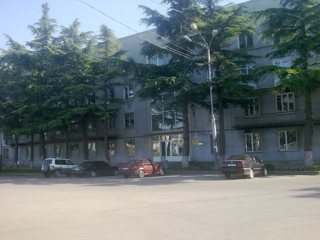 gamgeoba chemi saxlis win