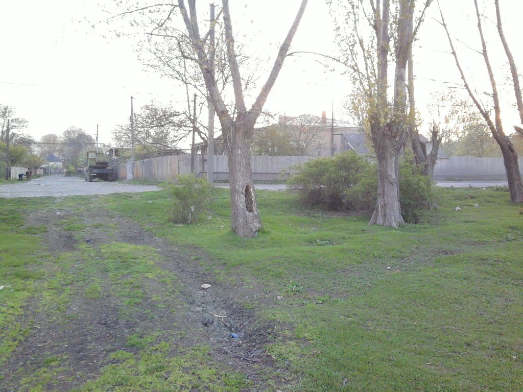 tskhramukha 022