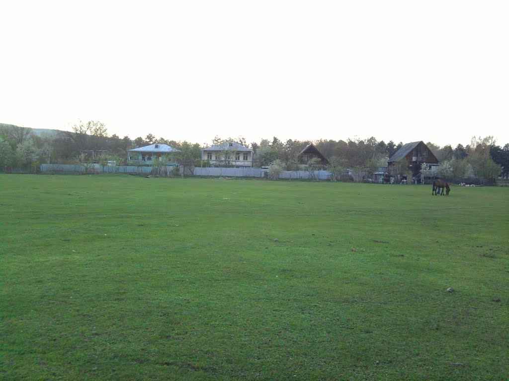 tskhramukha 021
