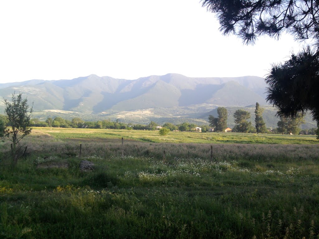 ცხრამუხა