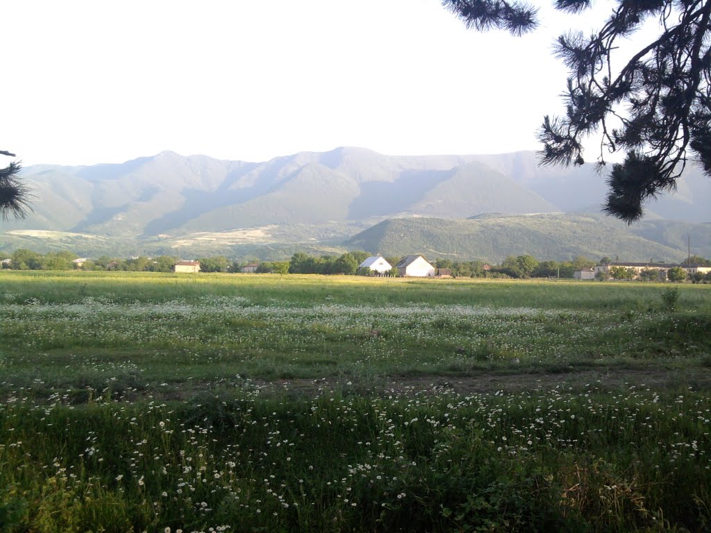 ცხრამუხა ბორჯომის გზიდან