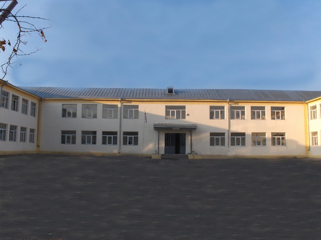 IX sajaro skola