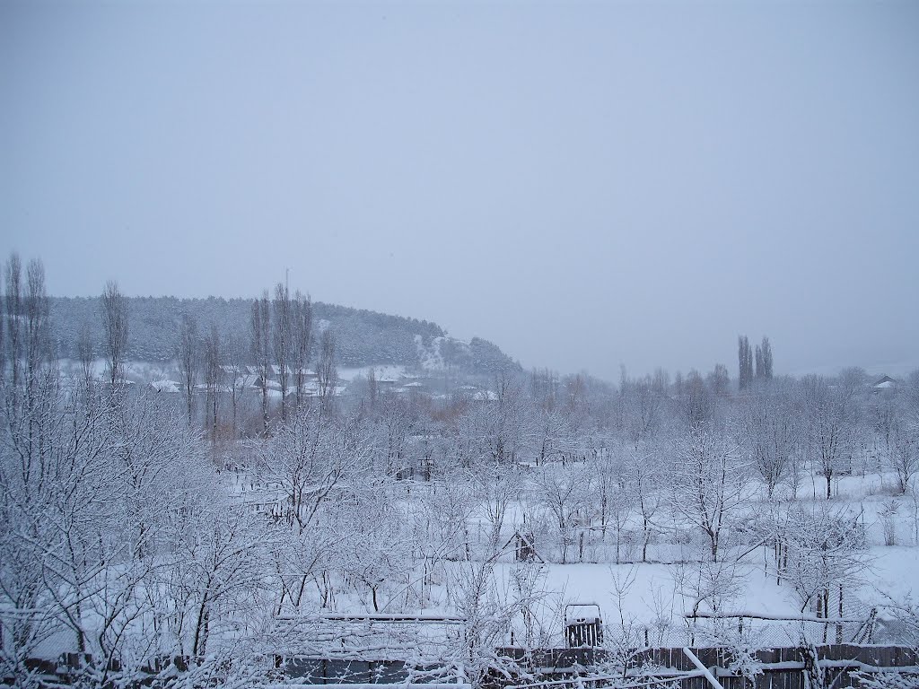 view from my house