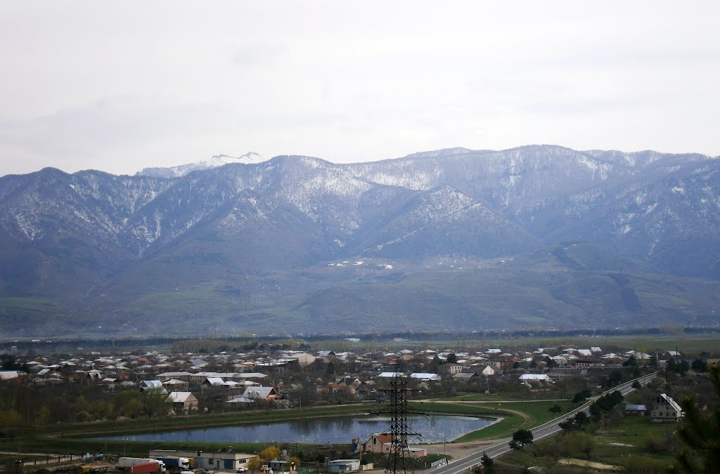 შინდარის ხედი