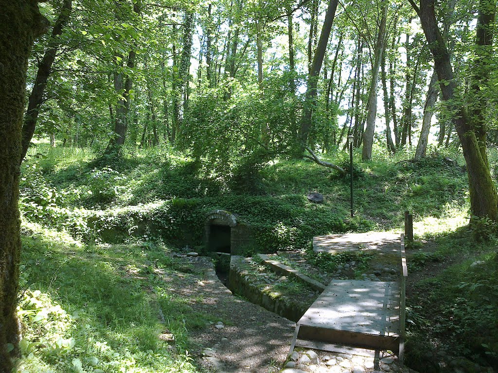 Holy Water Spring