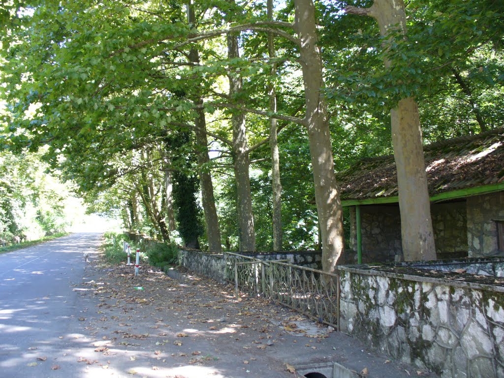 Old bus stop
