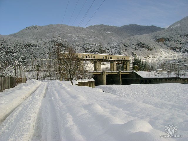 Tea Kalandadze