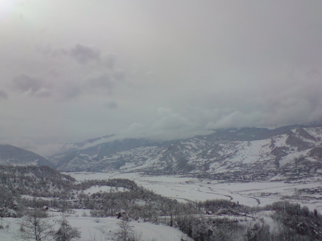 qveda tsageri