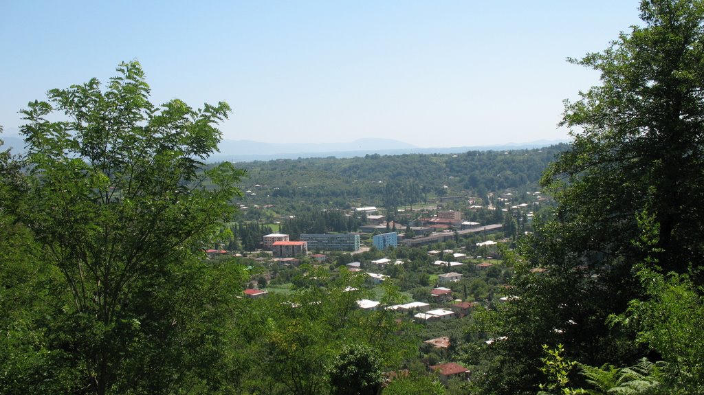 viev to Tsalenjikha