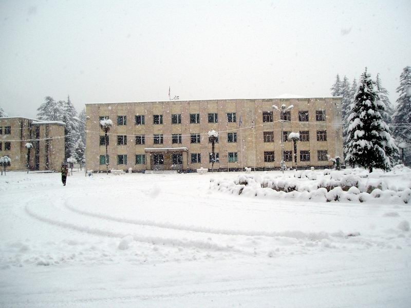 Tsalenjikhis Centraluri moedani
