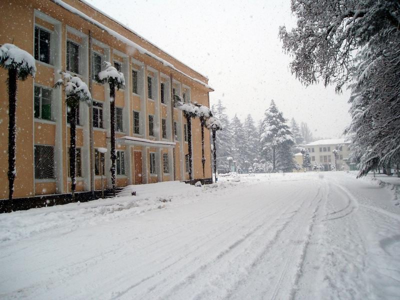 centraluri moedani
