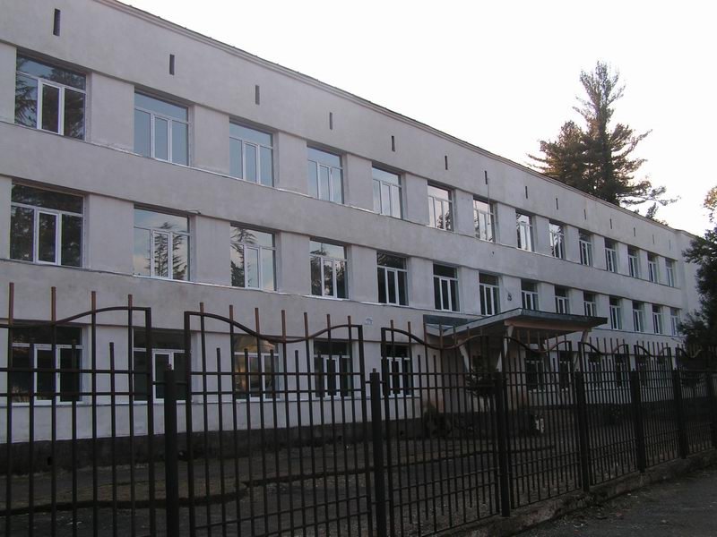 II sashualo skola