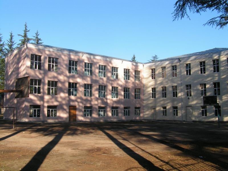I sashualo skola
