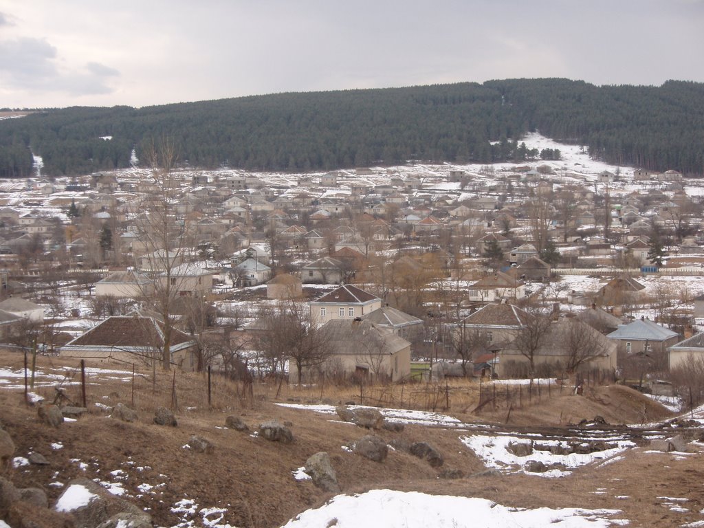panorama 1
