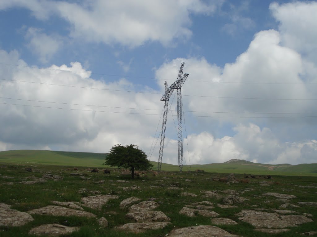 tsalka