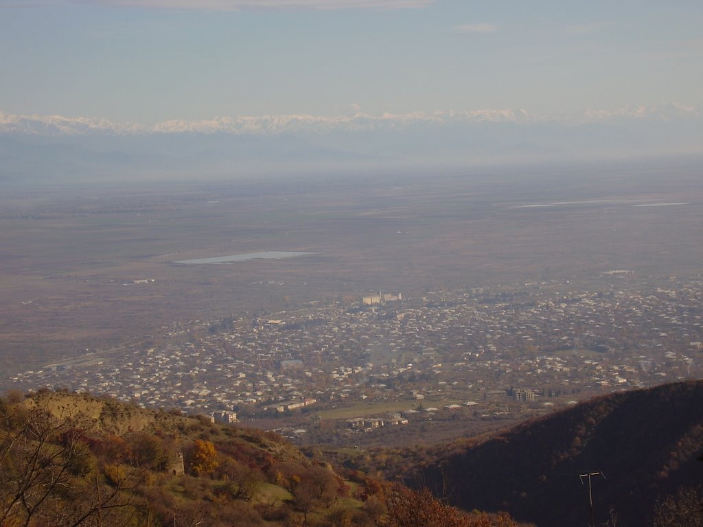 წნორი/Tsnori. kakheti region, Georgia