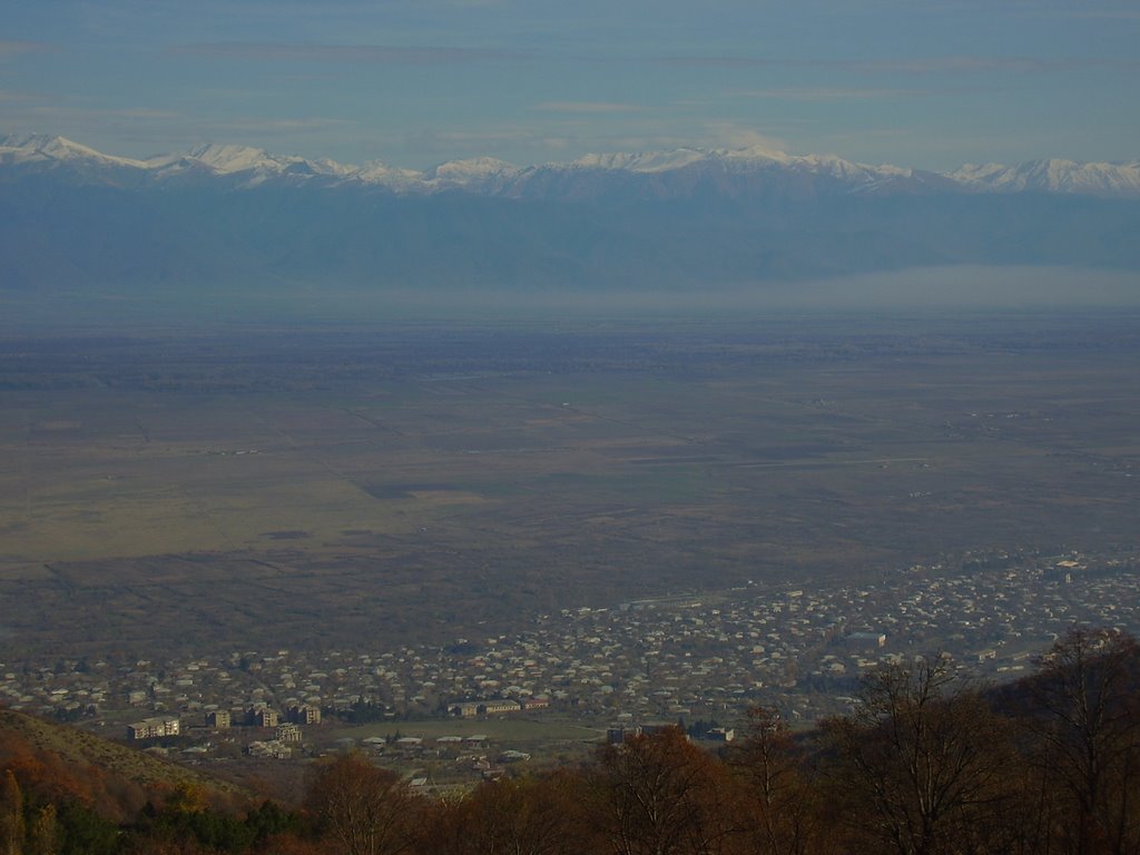 წნორი/Tsnori. kakheti region, Georgia