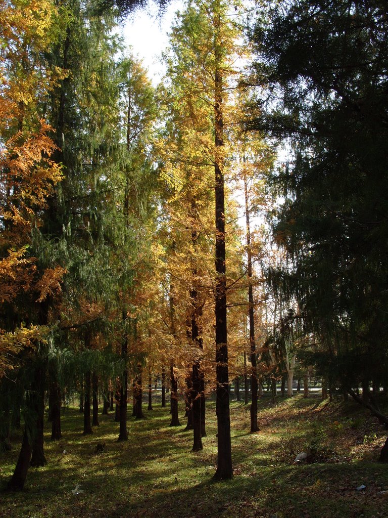 Tsqaltubo. Park