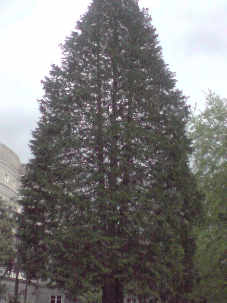 tskaltubo