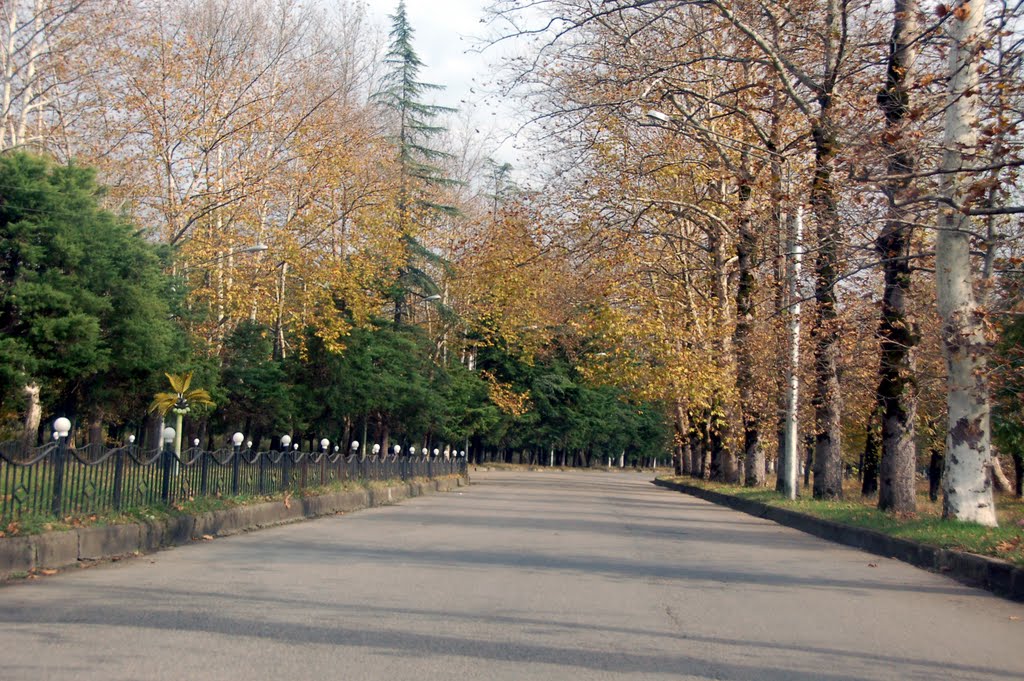 Tskaltubo, 2011