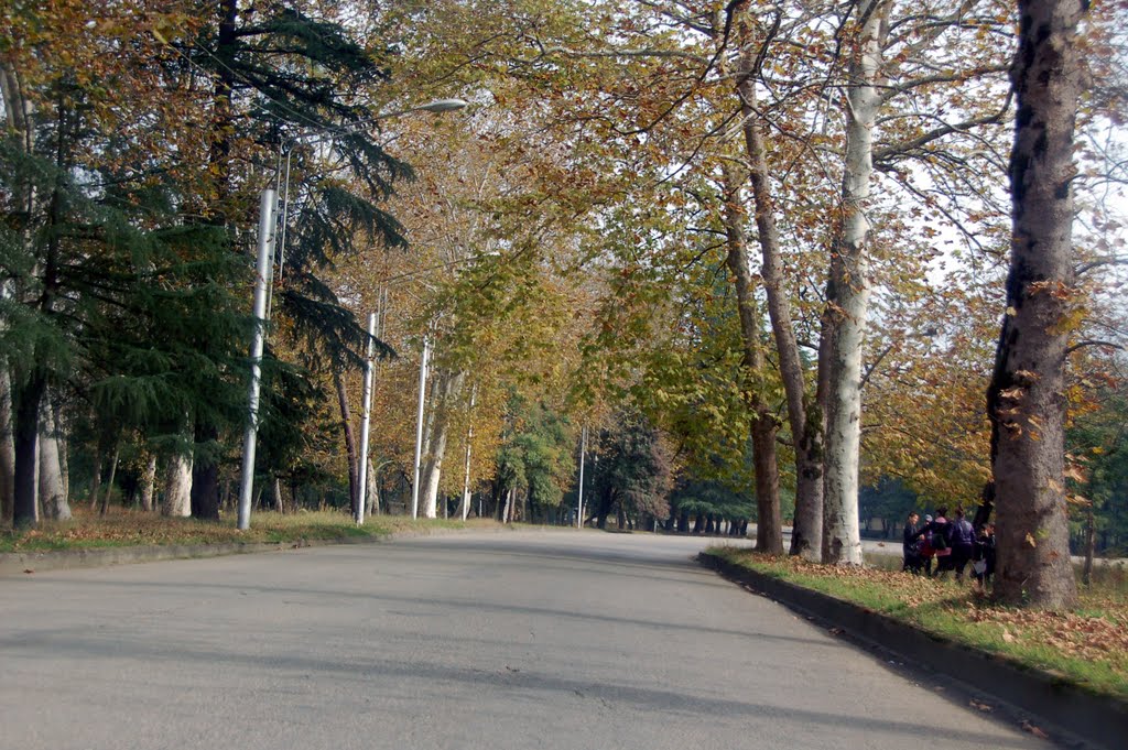 Tskaltubo, 2011