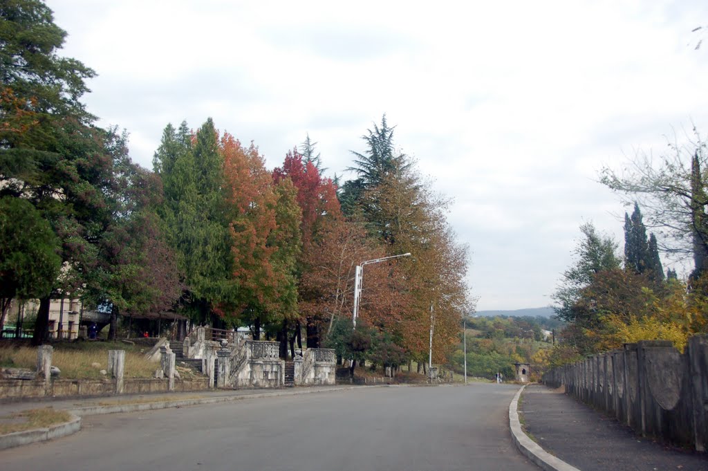 Tskaltubo, 2011