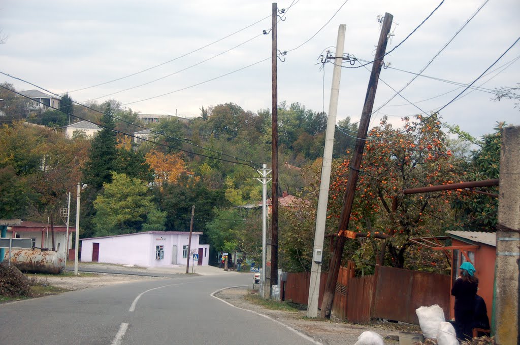 Tskaltubo, 2011