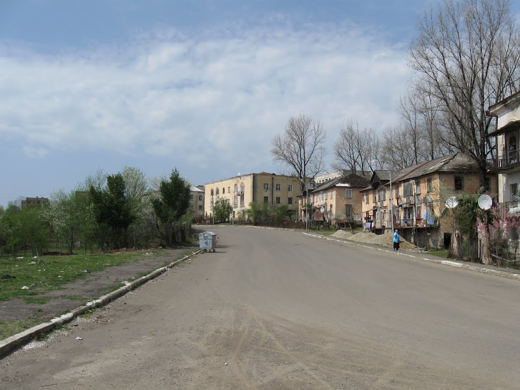 Tamar Mepe street