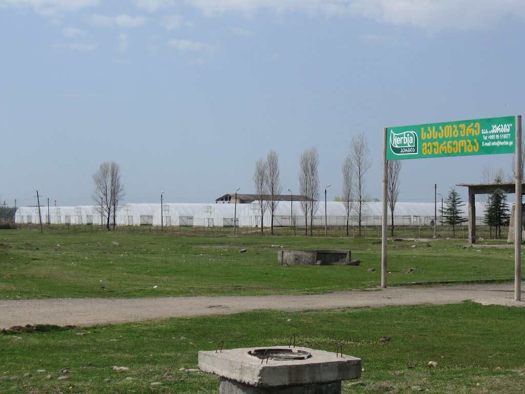 Greenhouses