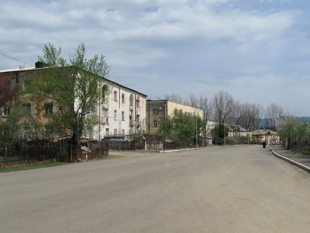 Tamar Mepe street