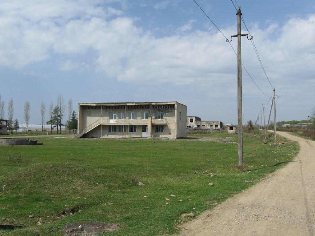 Road to Gvishtibi