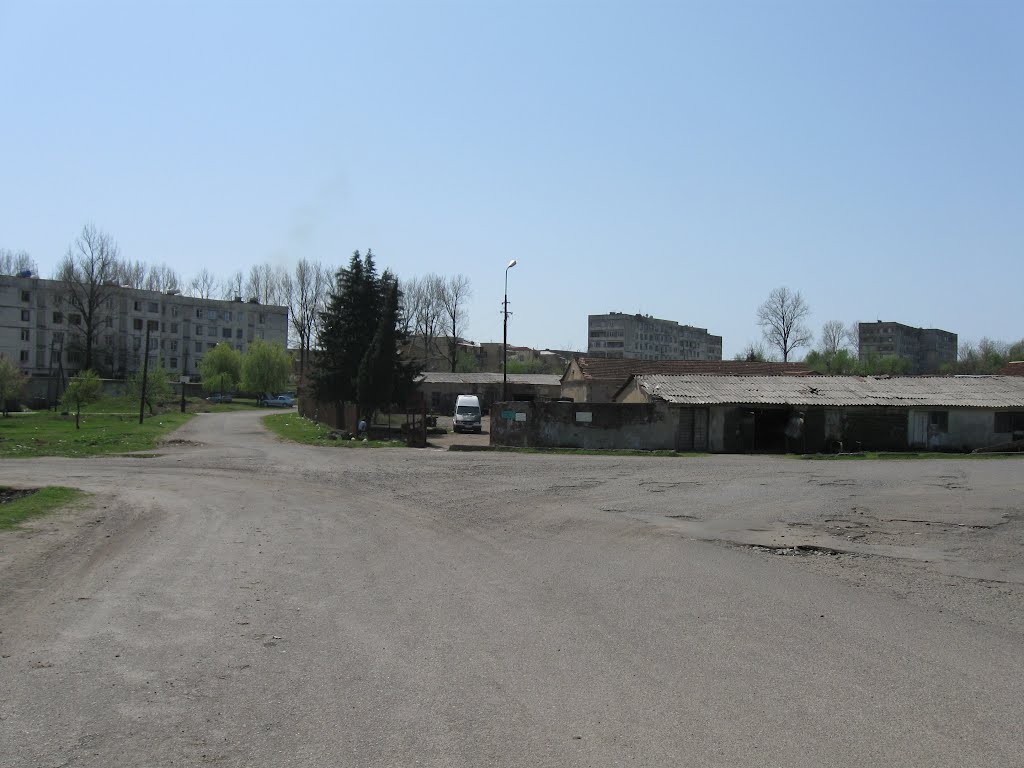 Tamar Mepe street