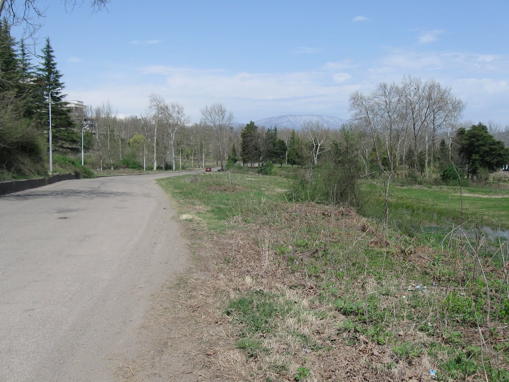 The road