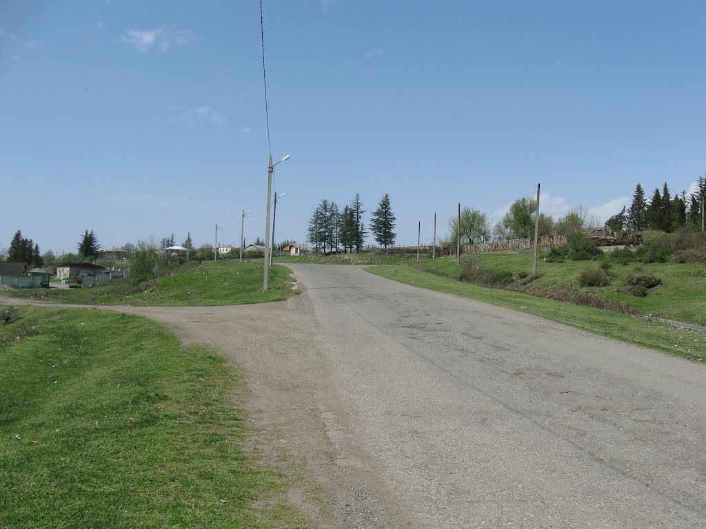 Road to Gvishtibi
