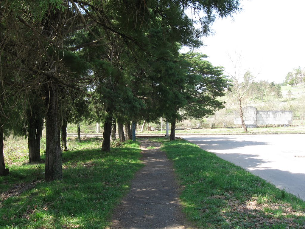 The alley