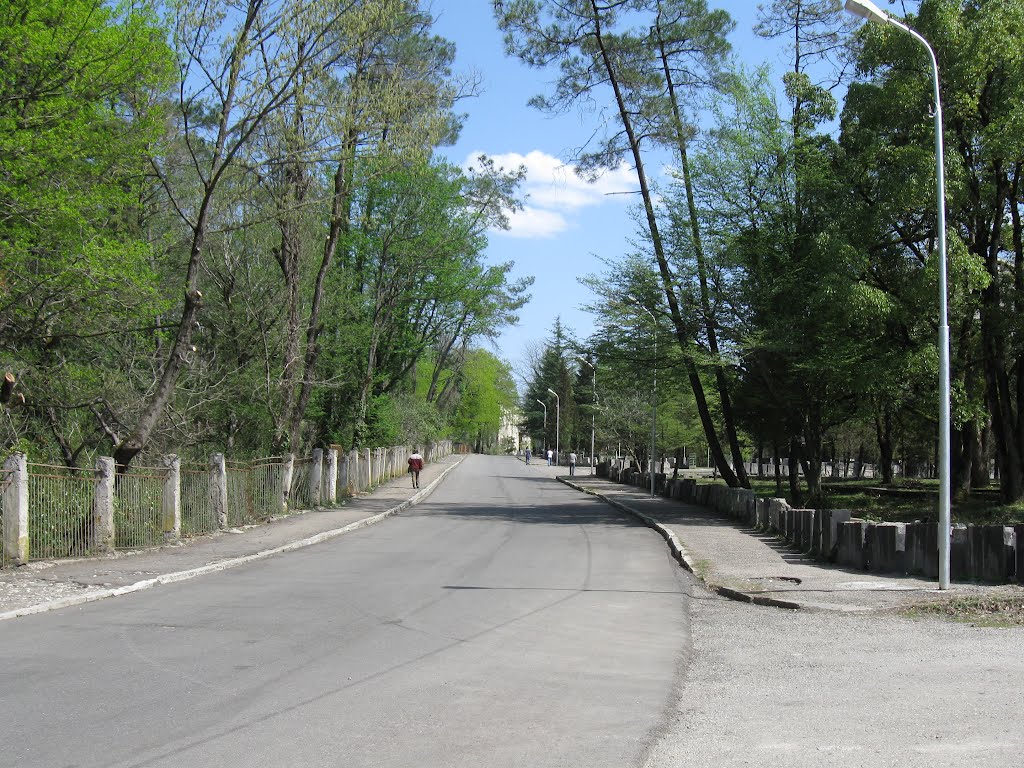 Guramishvili st
