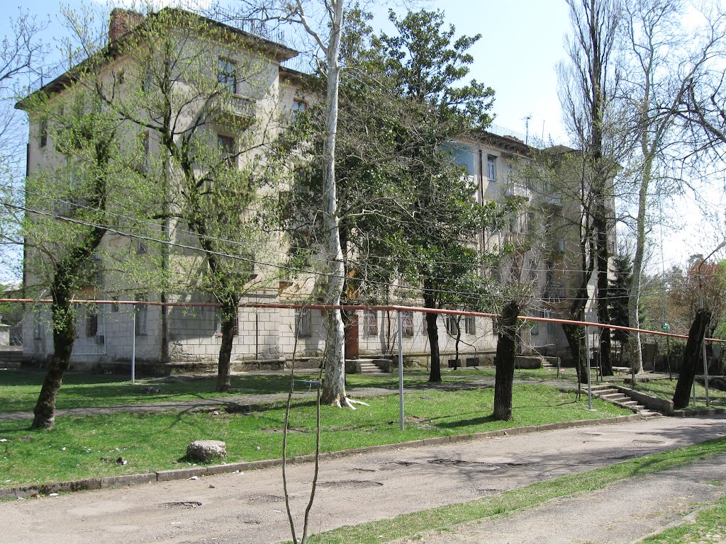 Kolkheti st